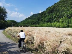 -贵阳市花溪国家城市湿地公园