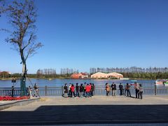 -上海长兴岛郊野公园