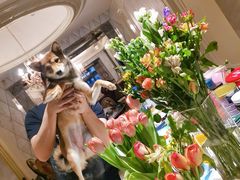 -双季花艺园艺市场(浦东店)