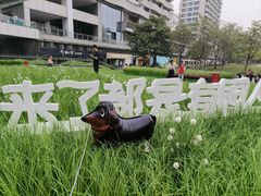 -深圳来福士广场