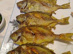 -越百海海鲜蒸锅(乐山店)