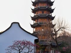 -红梅公园