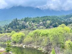 -林芝工布庄园希尔顿酒店-猎味中餐厅