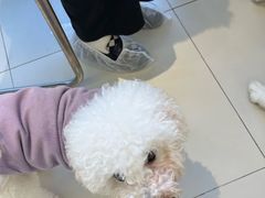 -怪兽屋·羊驼·猫咖·狗咖(俊华广场店)