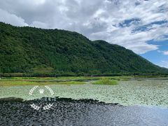 -腾冲北海湿地