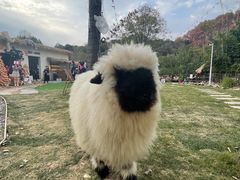 -HERRE·FARM 赫尔露营农场·团建聚会包场