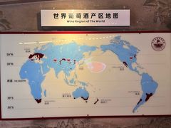 -青岛葡萄酒博物馆