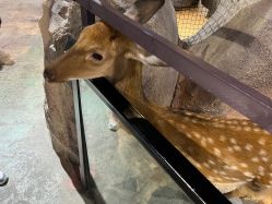 -酷嗒动物文化乐园(cutezoo西溪乐天城店)