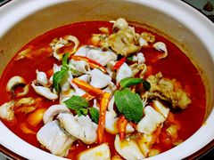 -青花椒花椒鱼(合生汇店)