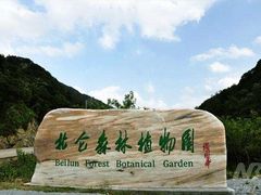 -北仑森林植物园