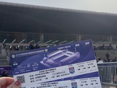 -泰达足球场