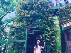 -三鹰之森吉卜力美术馆