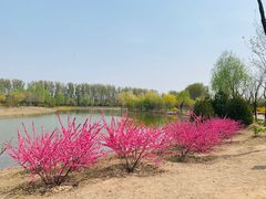 -东郊湿地公园