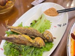 -西域美食兰州老马拉面(顺沙路辅路店)