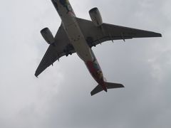 -空港花田景区