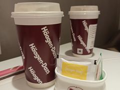 -哈根达斯(深圳海岸城店)