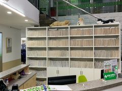 -爱侣宠医·鹦鹉专科·小型哺乳类·异宠专科(灵石路店)