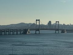 -星海湾跨海大桥