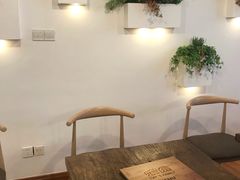 -喵园·猫主题咖啡厅·撸猫·猫咖(国贸店)