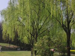-城市运动公园(未央区)