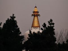 -护国法轮寺