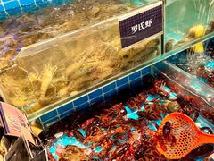 -加餐海鲜自助(宝龙一城店)