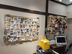 -逗柴咖啡屋·狗咖猫咖宠物桌游