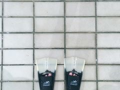 -奥体中心游泳馆