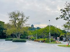-王借岗森林公园