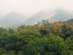 -杭州半山国家森林公园