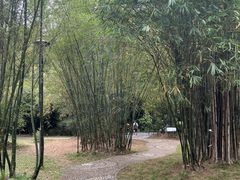 -深圳仙湖植物园