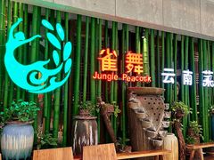 -雀舞云南菜(天津天河城购物中心店)