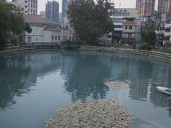 -溪岸路花鸟市场