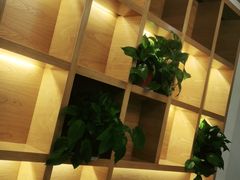 -阿鹏故事野生菌火锅(古城店)