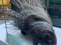 -国家自然博物馆