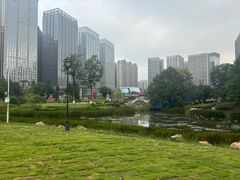 -花果园湿地公园