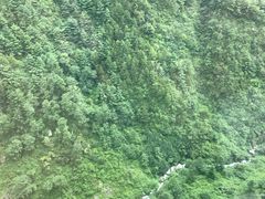 -苍山感通索道