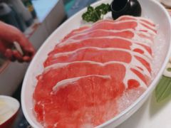 -洪氏嗨捞·猪肚鸡火锅(阳光天地店)