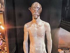 -drivepro(三里屯店)