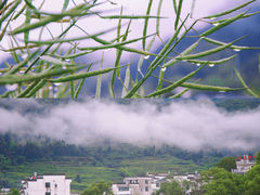 -上坦村
