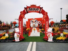 -荷兰花海