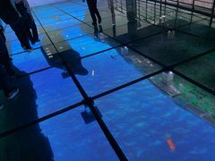 -上海长江河口科技馆