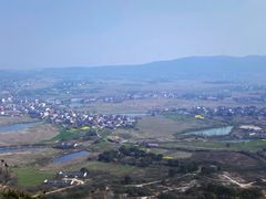 -合肥滨湖国家森林公园