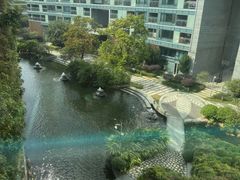 -春满园·早茶·粤菜·宴会(前海店)