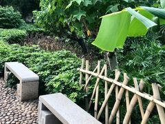 -晓港公园