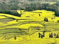 -牛街螺丝田