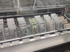 -钟薛高(南头古城店)