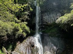 -龙苍沟森林公园