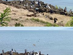 -银沙滩浴场