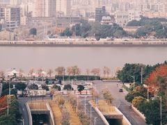 -洲头咀公园